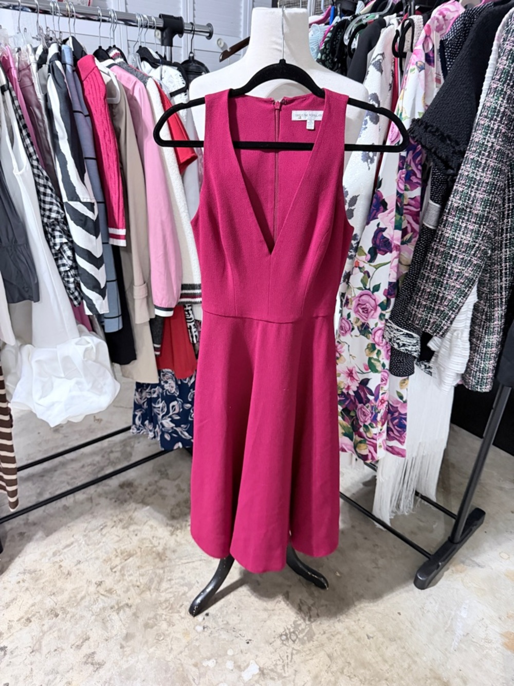 Dress The Population Sleeveless V-Neck Fit & Flare Dress in Red